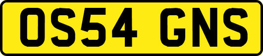 OS54GNS