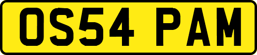 OS54PAM