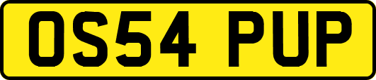 OS54PUP