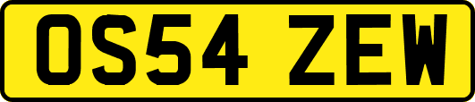 OS54ZEW