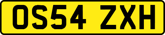 OS54ZXH