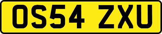 OS54ZXU