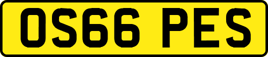 OS66PES