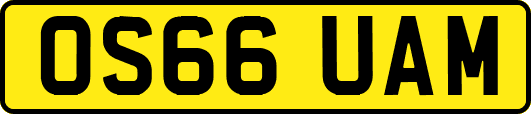 OS66UAM