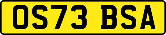 OS73BSA