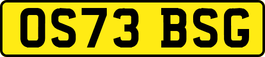 OS73BSG