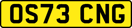 OS73CNG