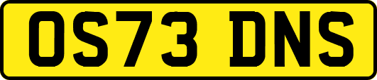 OS73DNS