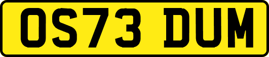 OS73DUM
