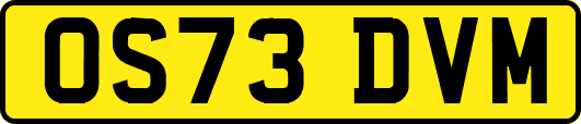 OS73DVM