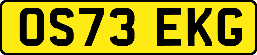 OS73EKG