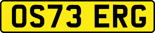 OS73ERG