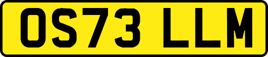 OS73LLM
