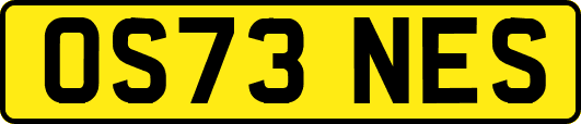 OS73NES