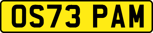 OS73PAM