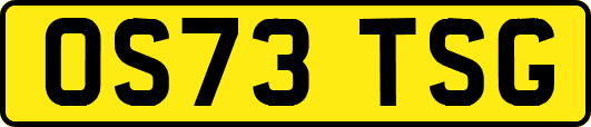 OS73TSG