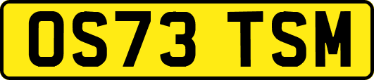OS73TSM