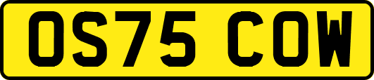 OS75COW