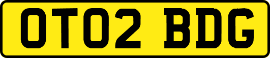 OT02BDG