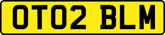 OT02BLM