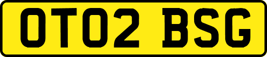 OT02BSG