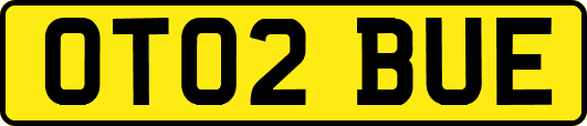 OT02BUE