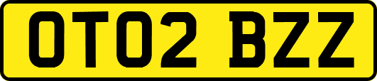 OT02BZZ