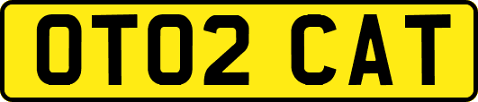 OT02CAT