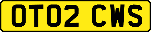 OT02CWS