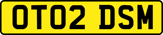 OT02DSM
