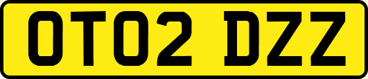 OT02DZZ