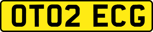 OT02ECG