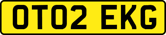 OT02EKG