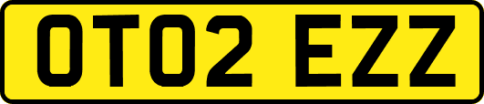 OT02EZZ