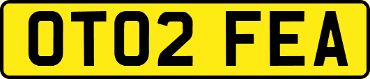 OT02FEA