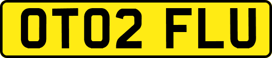 OT02FLU