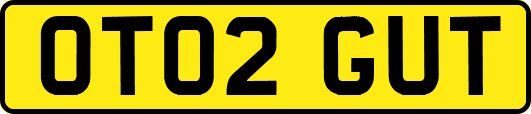 OT02GUT