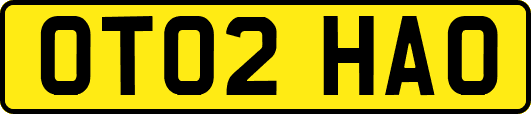 OT02HAO