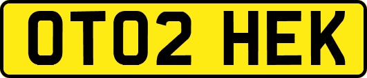 OT02HEK