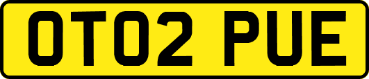 OT02PUE