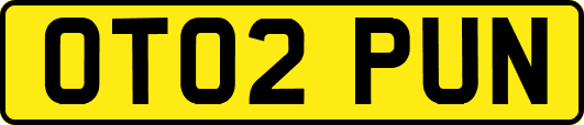 OT02PUN