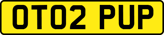 OT02PUP
