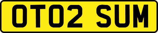 OT02SUM