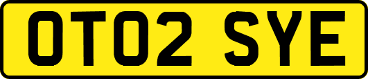 OT02SYE