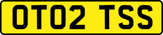 OT02TSS