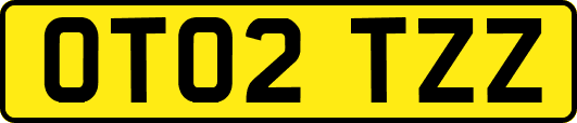 OT02TZZ