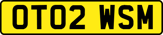 OT02WSM
