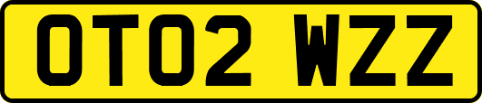 OT02WZZ