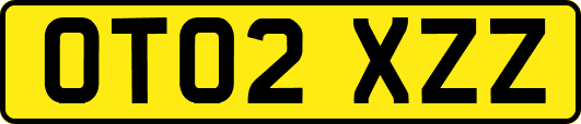 OT02XZZ