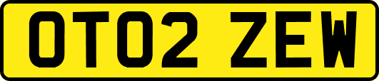 OT02ZEW
